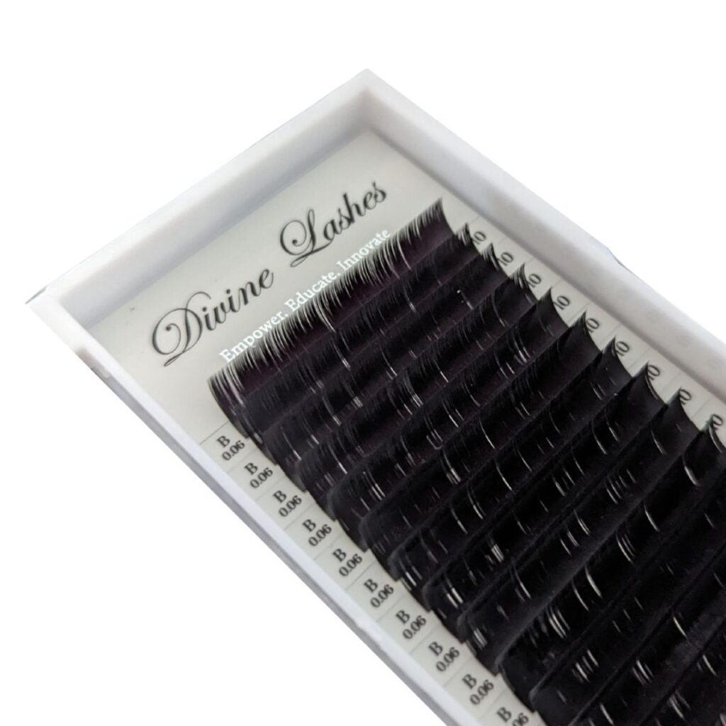 Lash Tray